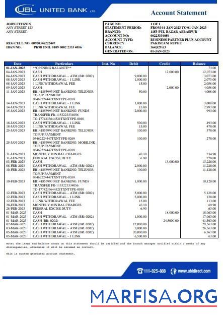 Printable Pakistan UBL bank statement word sample